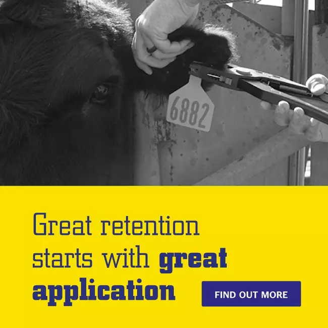 Great Retention Starts With Great Application