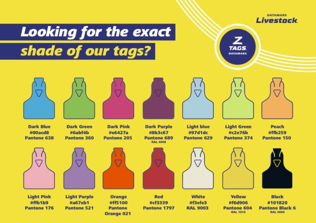 Pantone colour IDs