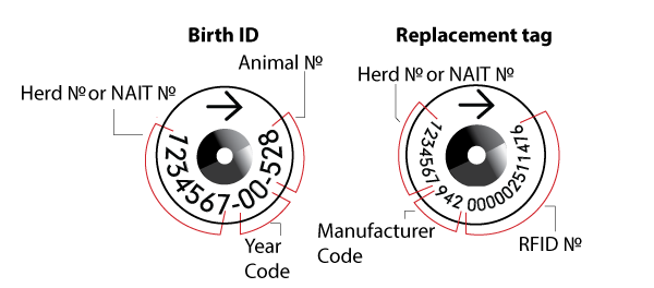 BIRTH-ID-VS-REPLACEMENT